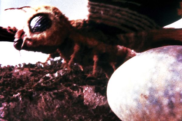 Godzilla contra Mothra : Foto