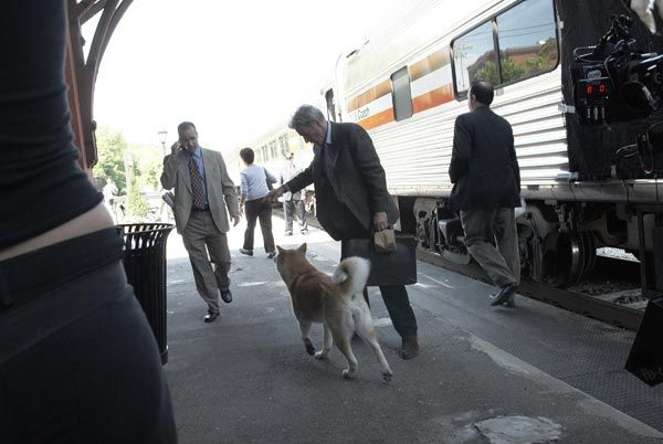 Siempre a tu lado : Foto