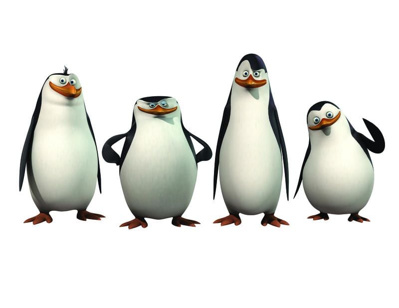 Los pingüinos de Madagascar : Foto