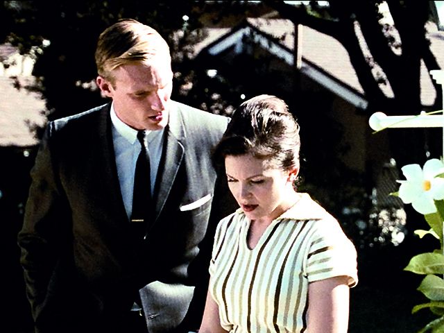 A Single Man : Foto Ginnifer Goodwin