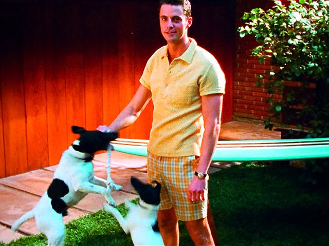 A Single Man : Foto Matthew Goode