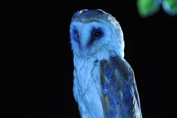 El cuarto contacto : Foto