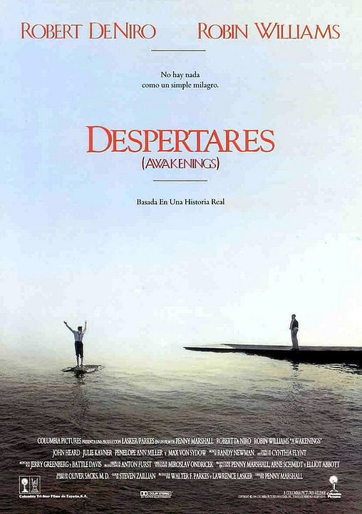 Despertares : Póster