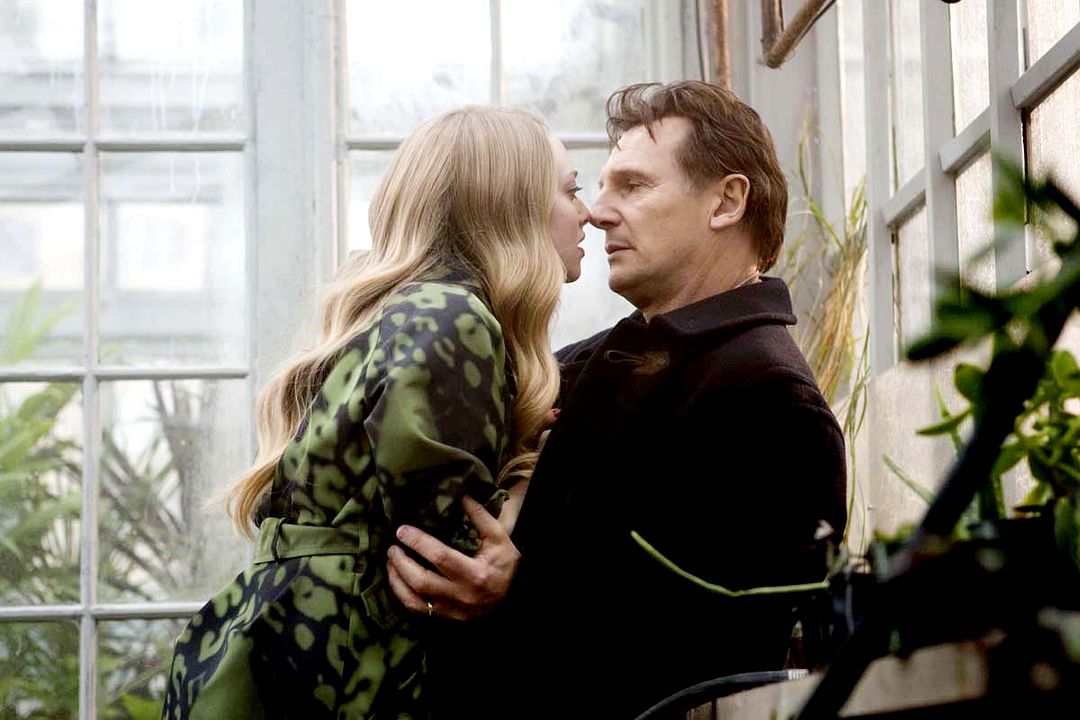 Una propuesta atrevida : Foto Amanda Seyfried, Liam Neeson