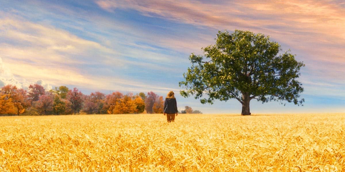 Desde mi cielo : Foto Saoirse Ronan