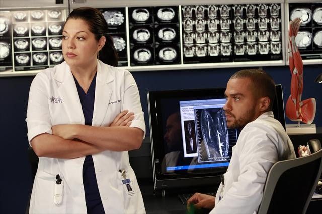 Grey's Anatomy : Foto Sara Ramirez, Jesse Williams