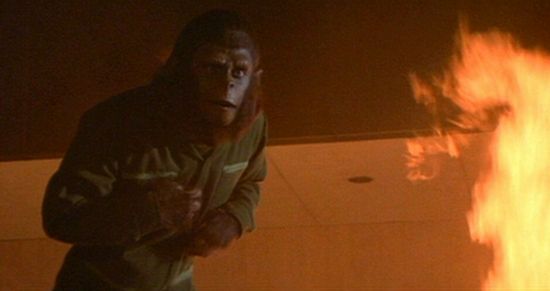 La conquista del planeta de los simios : Foto