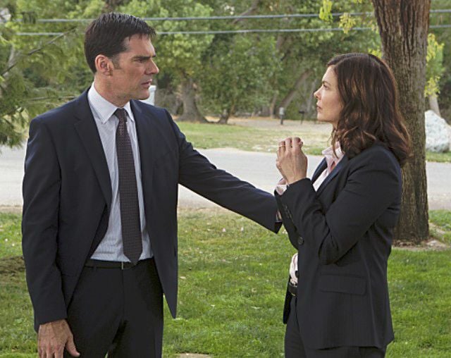 Mentes criminales : Foto Jeanne Tripplehorn