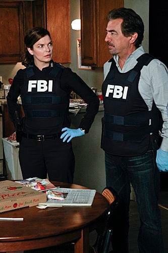 Mentes criminales : Foto Jeanne Tripplehorn, Joe Mantegna