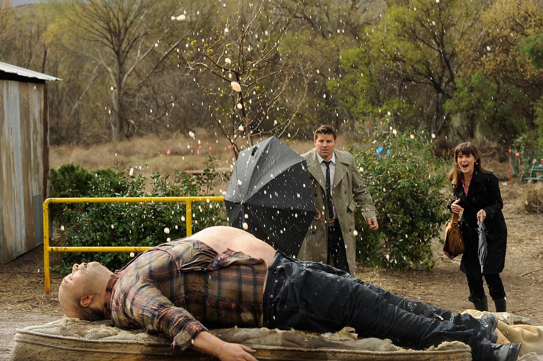 Bones : Foto Emily Deschanel
