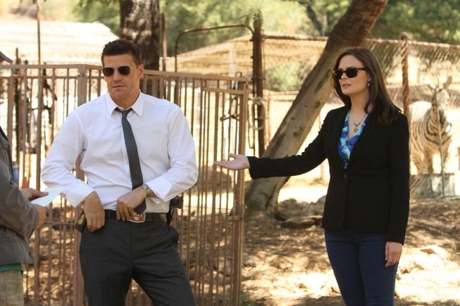 Bones : Foto Emily Deschanel