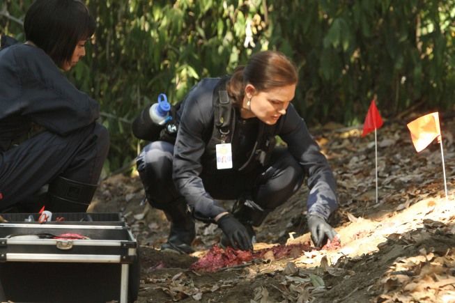 Bones : Foto Emily Deschanel