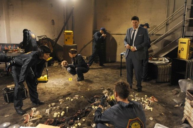 Bones : Foto Emily Deschanel