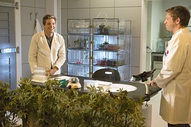Weeds : Foto Hunter Parrish