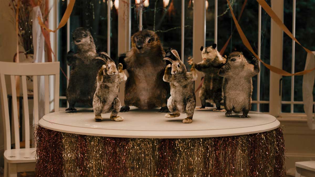 Peluda Venganza : Foto Roger Kumble