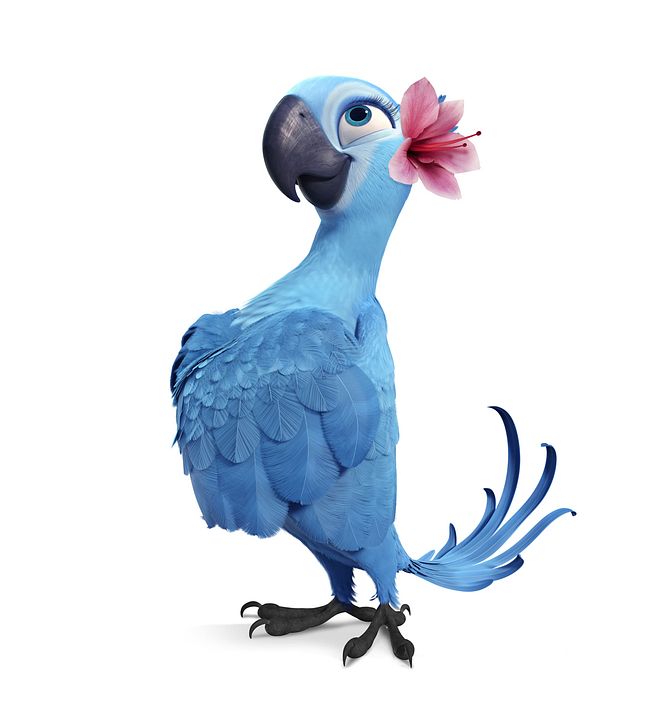 Rio : Foto David Kross