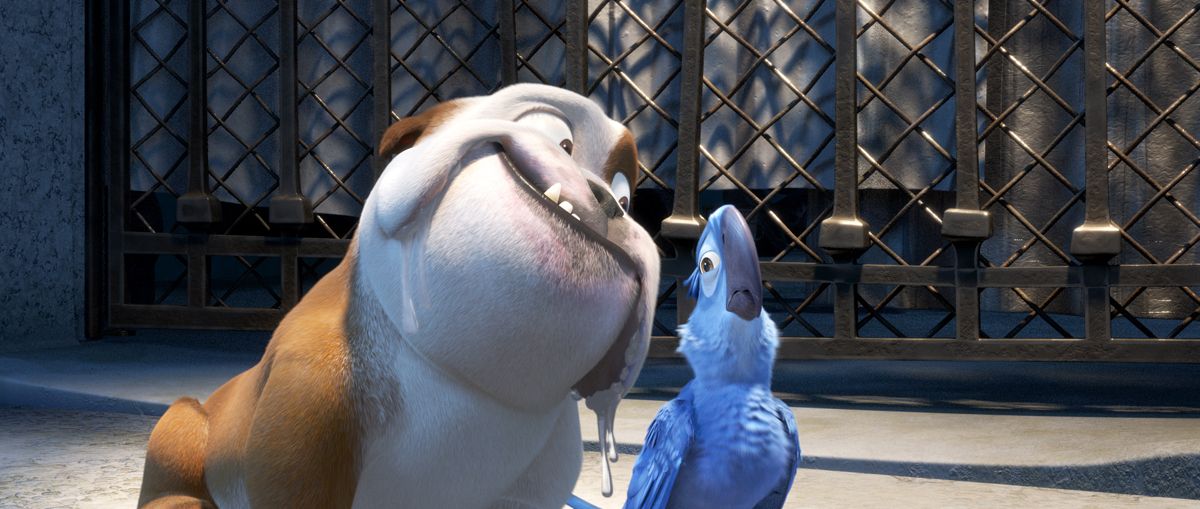 Rio : Foto David Kross