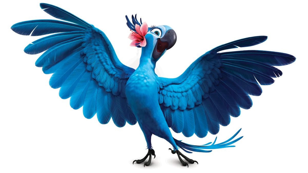 Rio : Foto David Kross