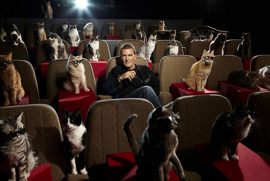 Gato con botas : Foto Antonio Banderas