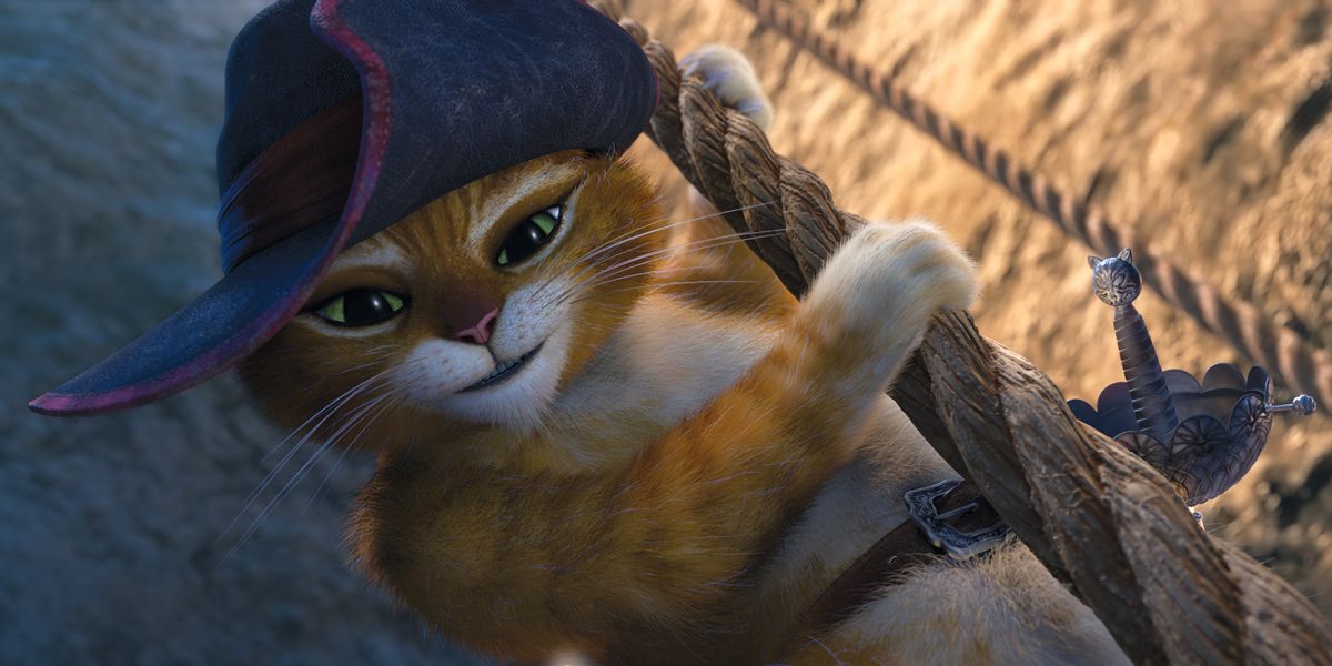 Gato con botas : Foto