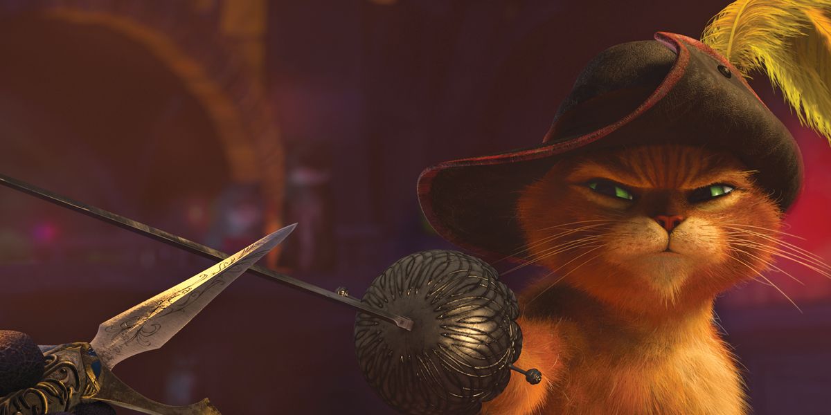 Gato con botas : Foto