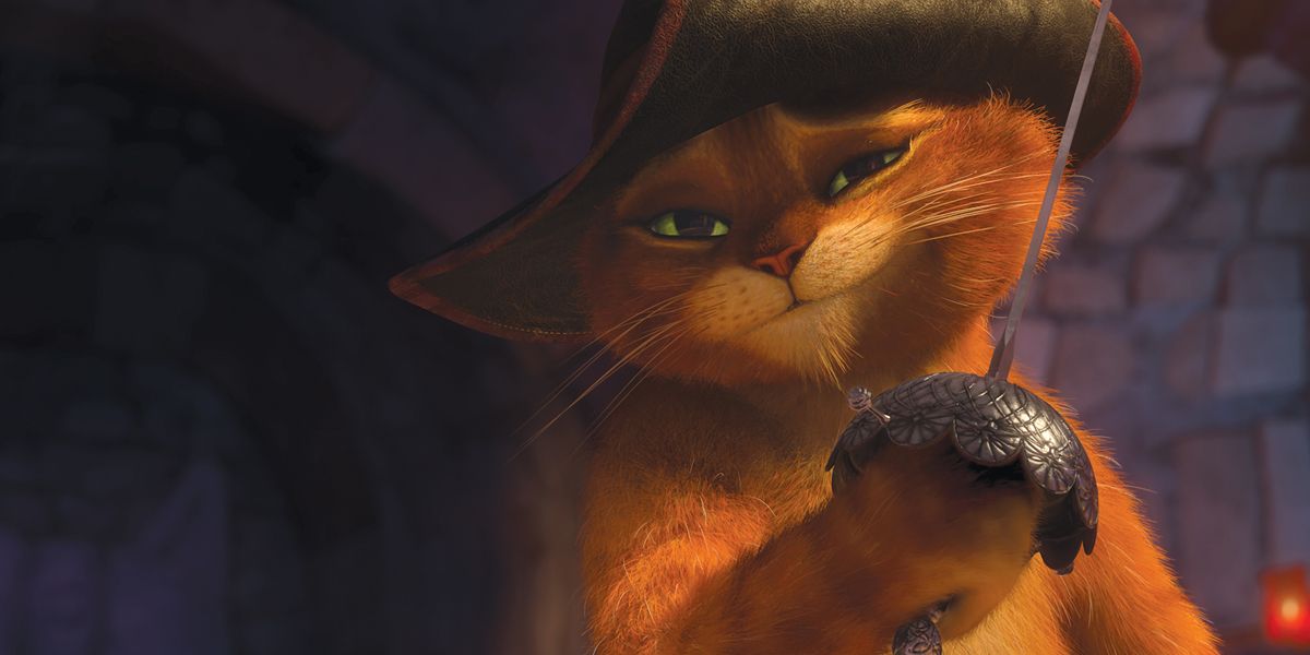 Gato con botas : Foto