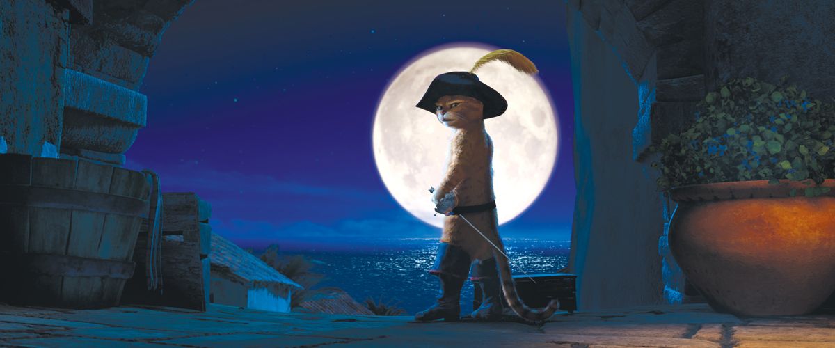 Gato con botas : Foto