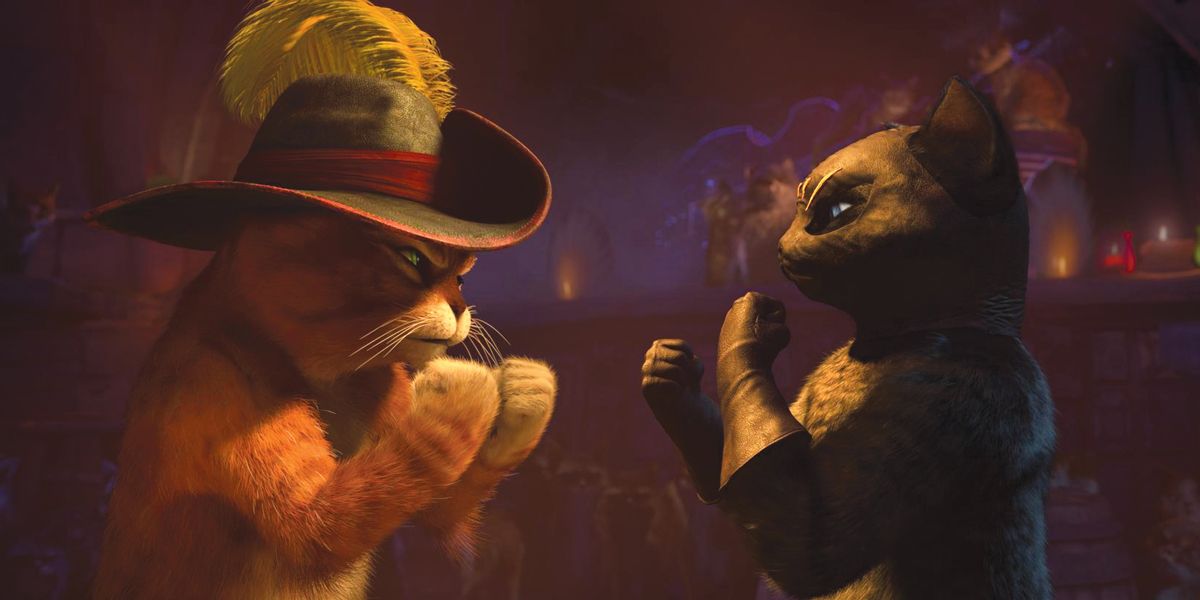 Gato con botas : Foto