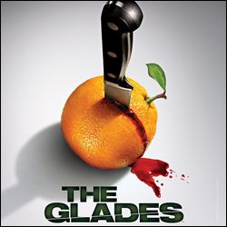 The Glades : Póster