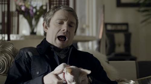 Foto Martin Freeman
