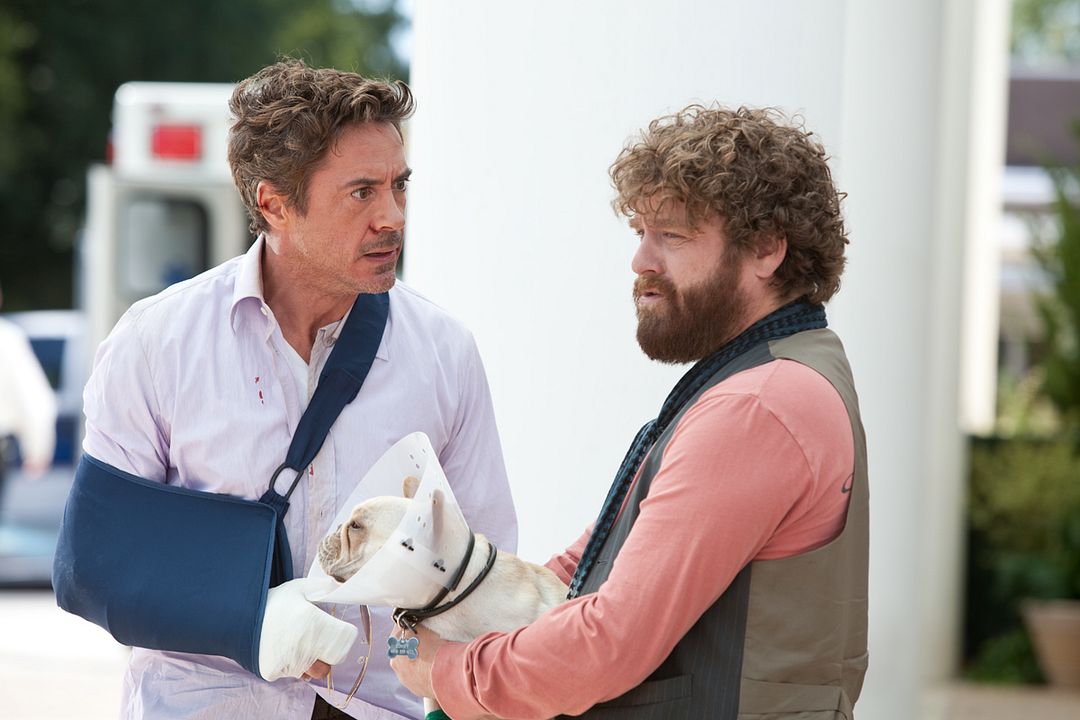 Foto Zach Galifianakis, Robert Downey Jr.