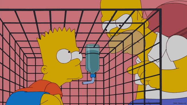 Los Simpson : Foto