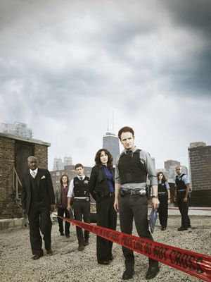 The Chicago Code : Póster