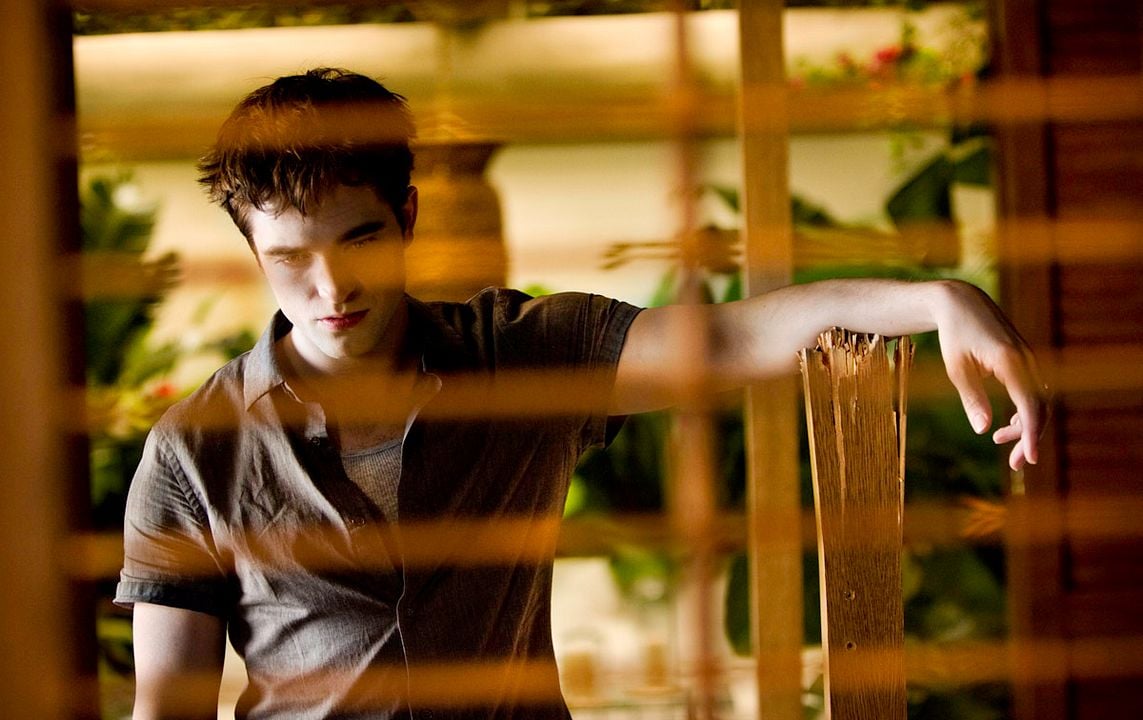 La saga Crepúsculo: Amanecer - Parte 1 : Foto