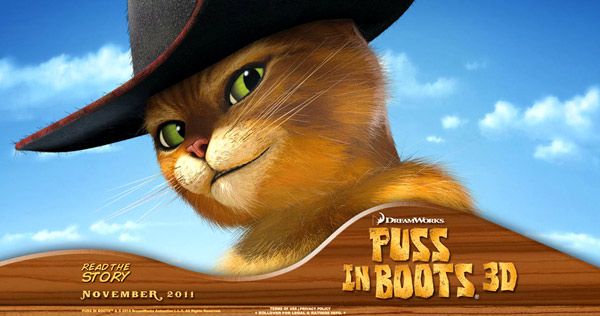 Gato con botas : Foto