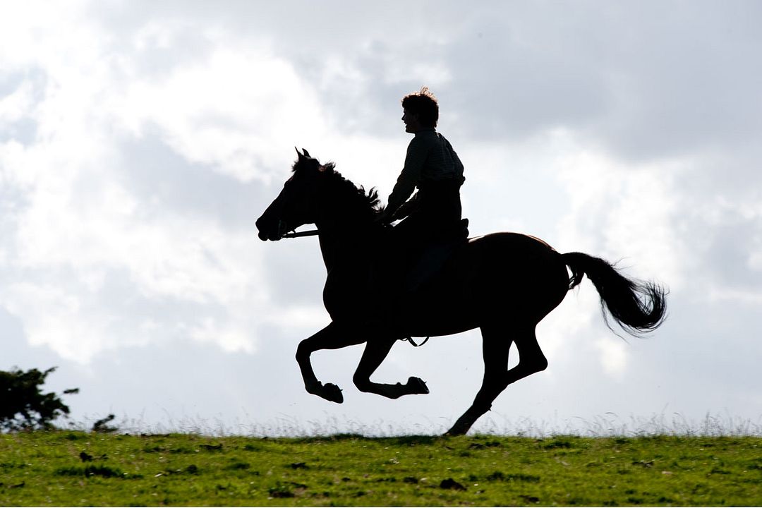 Caballo de guerra : Foto Jeremy Irvine
