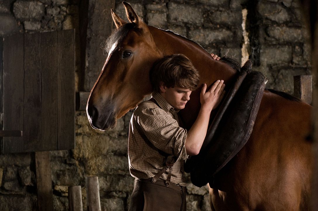 Caballo de guerra : Foto Jeremy Irvine