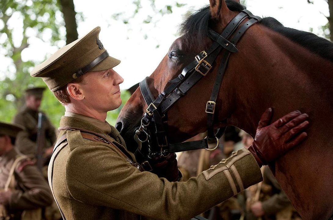 Caballo de guerra : Foto Tom Hiddleston