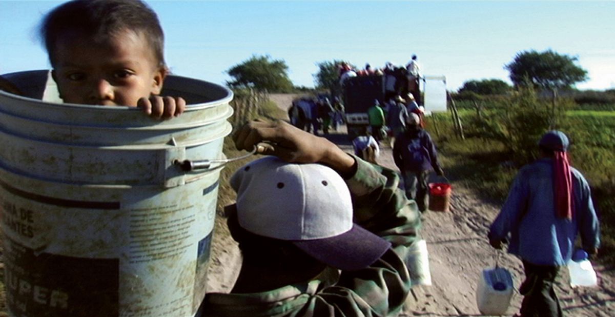 Los herederos : Foto