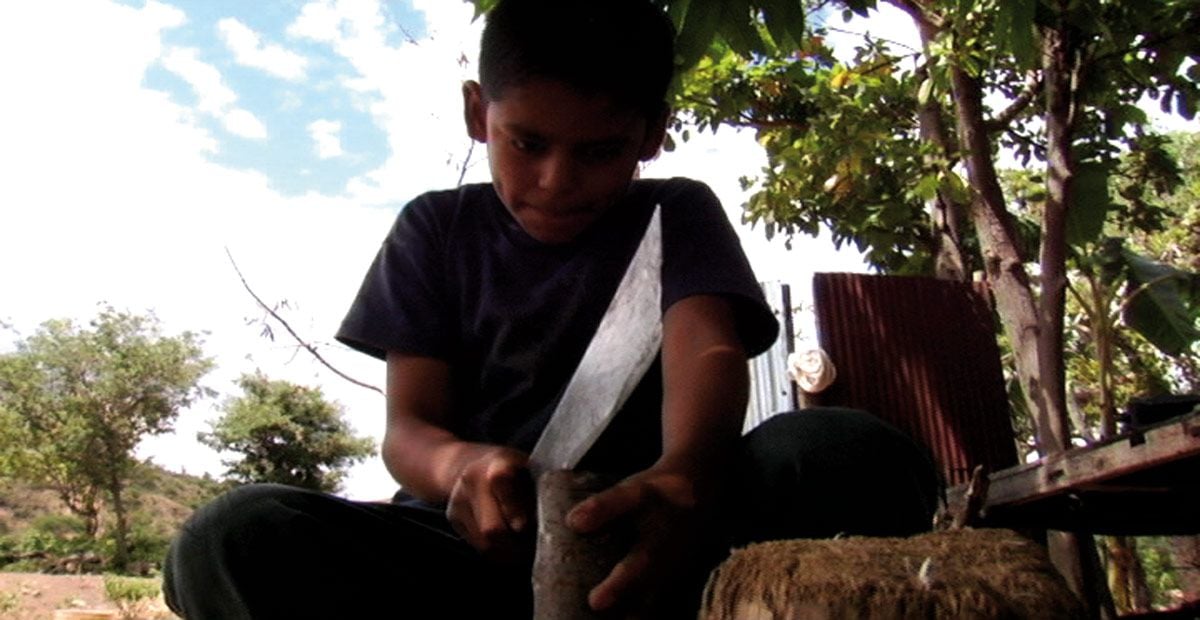 Los herederos : Foto