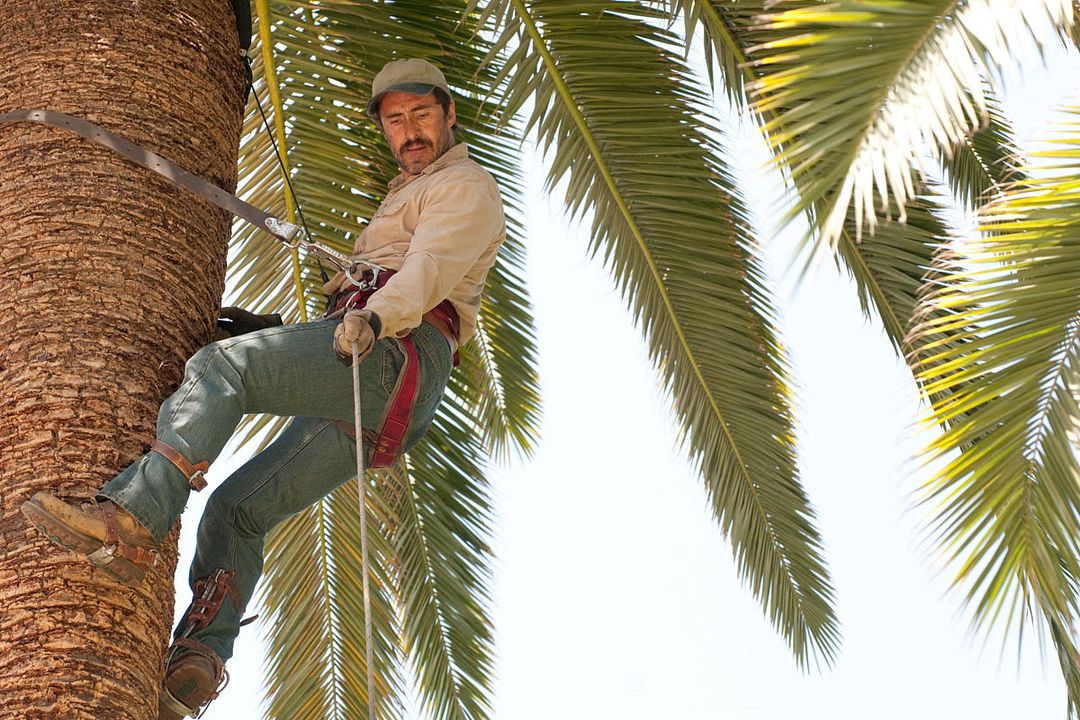 Una vida mejor : Foto Demian Bichir