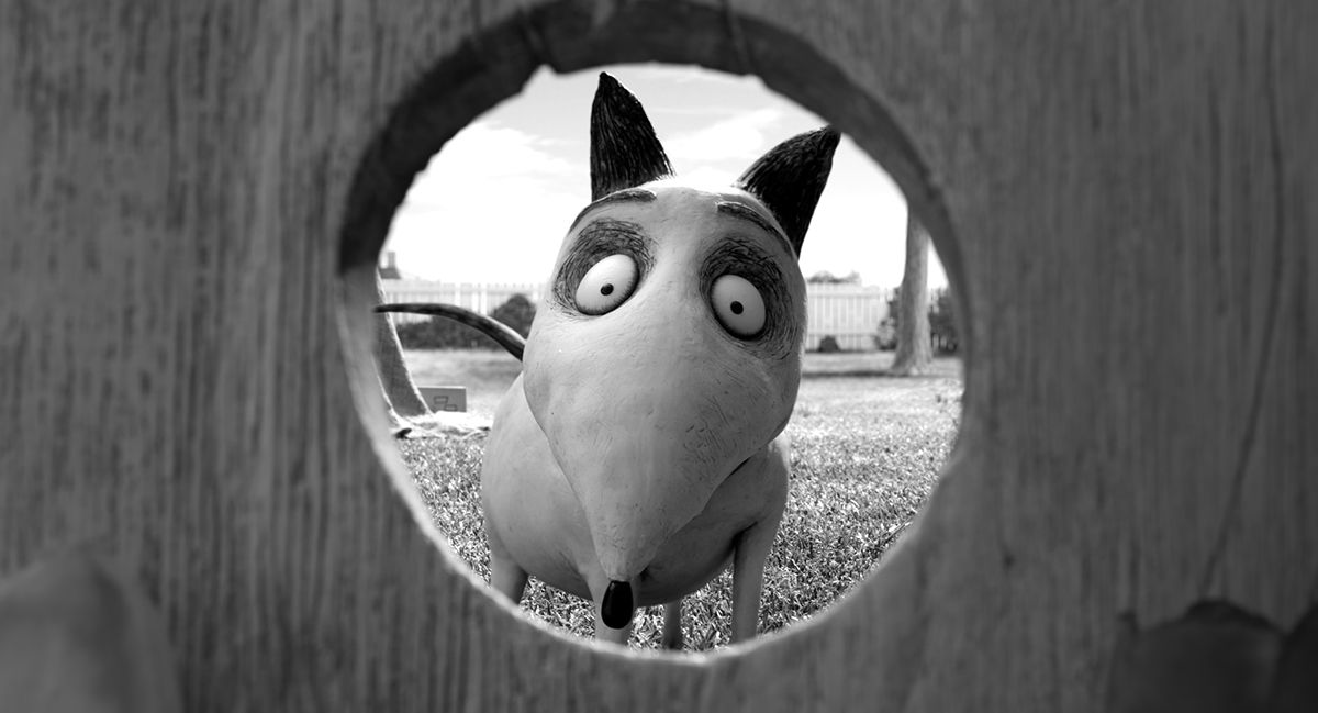 Frankenweenie : Foto