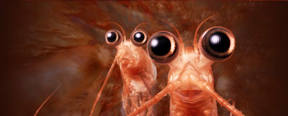 Happy Feet 2: El pingüino : Foto