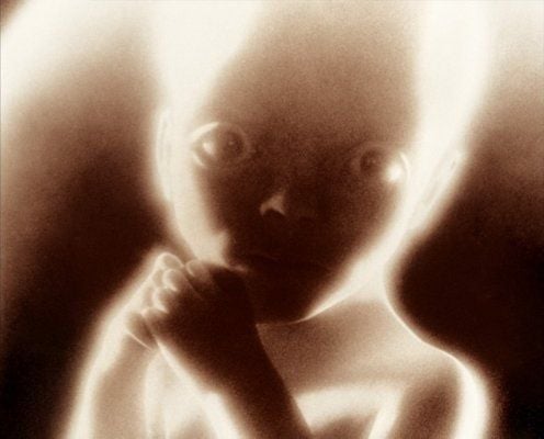 2001: Una odisea del espacio : Foto