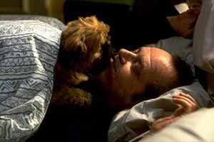 Mejor... Imposible : Foto