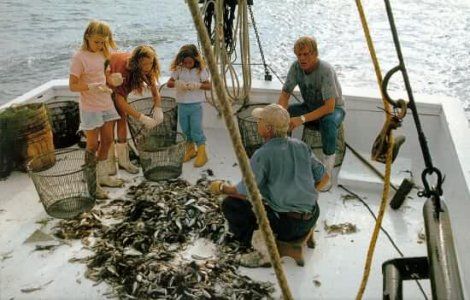 El príncipe de las mareas : Foto