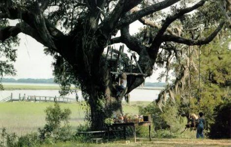 El príncipe de las mareas : Foto