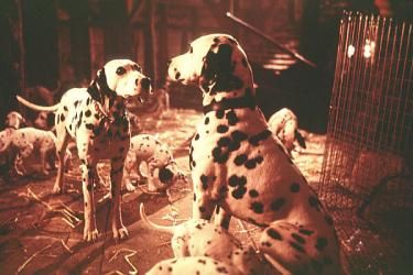 101 Dálmatas ¡Ahora la magia es real! : Foto