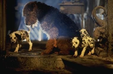 101 Dálmatas ¡Ahora la magia es real! : Foto