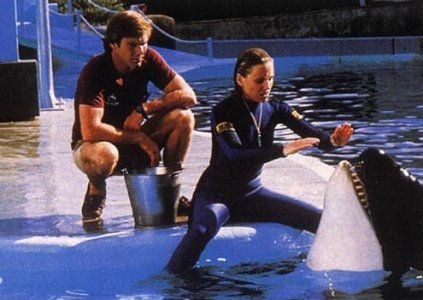 Jaws 3-D: El gran tiburón : Foto